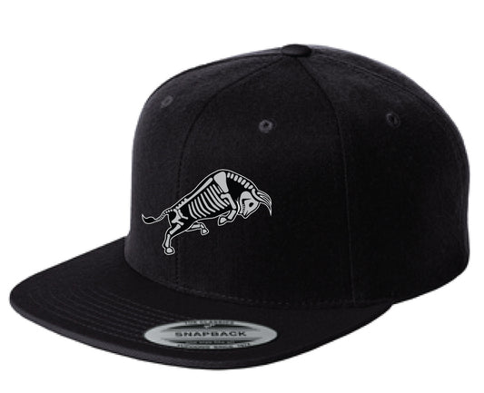 Houston DDLM Flatbill Hat