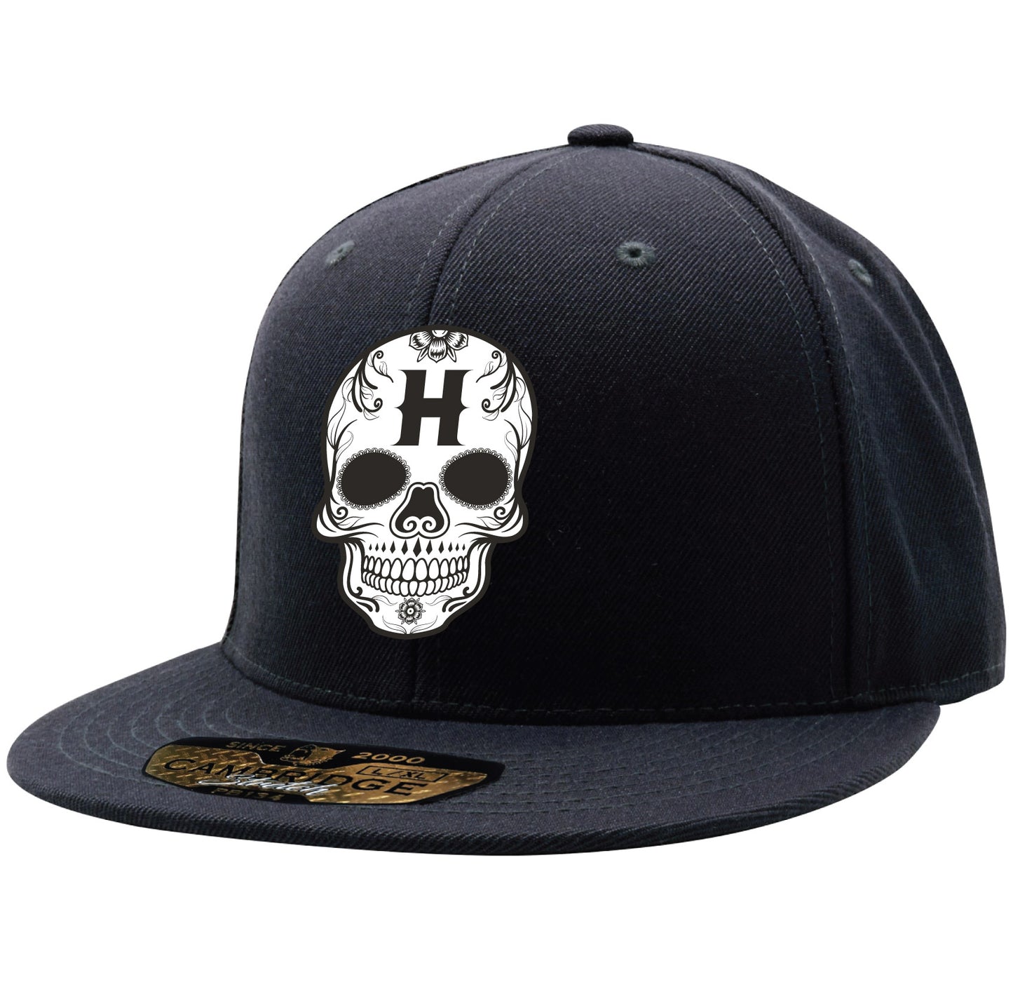 Houston DDLM Flatbill h Skull